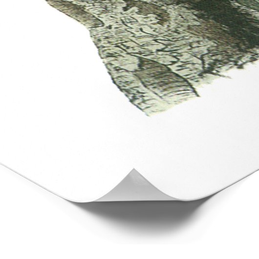 Audubon Blue Jay Poster (Ecke)