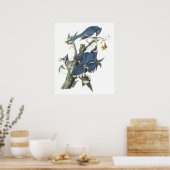 Audubon Blue Jay Poster (Küche)