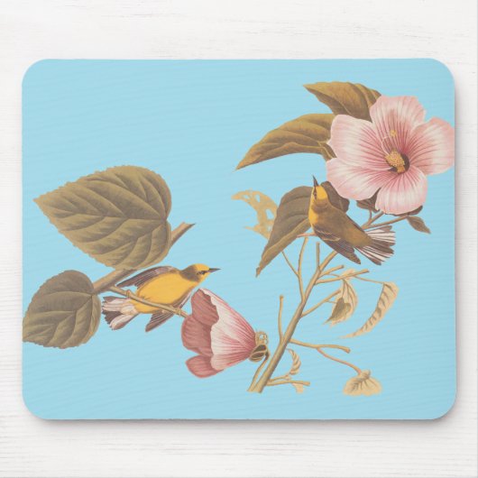 Audubon Blue Winged Mousepad (Vorne)