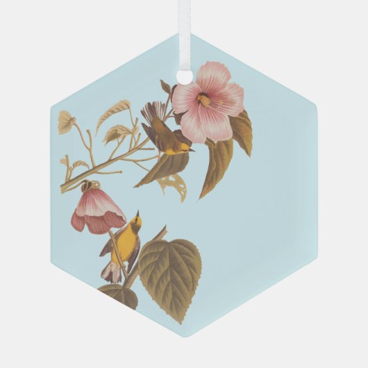 Audubon Blue Winged Ornament Aus Glas (Rückseite)