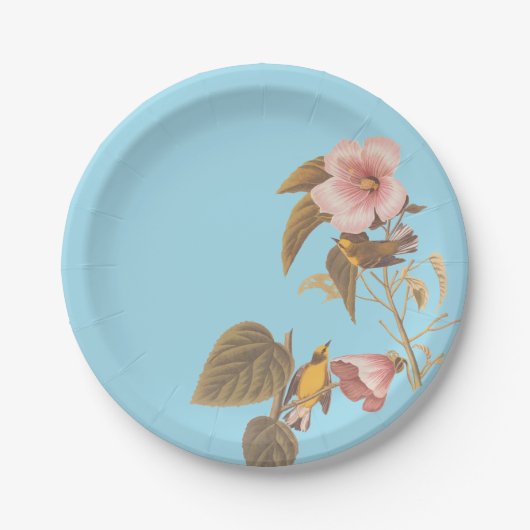 Audubon Blue Winged Pappteller (Vorderseite)