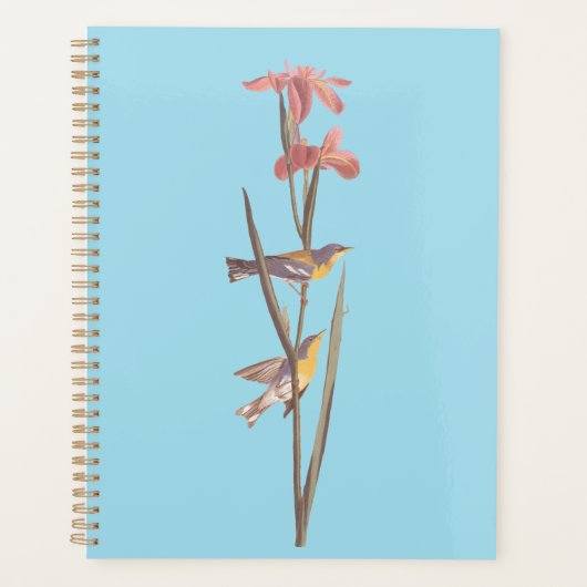 Audubon Blue Yellowback Warbler Song Birds Planer (Vorderseite)