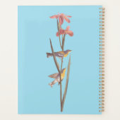 Audubon Blue Yellowback Warbler Song Birds Planer (Rückseite)