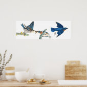Audubon Bluebird Birds Animal Wildlife Poster (Küche)