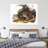 Audubon (Bobcat) Leinwanddruck (Insitu (Schlafzimmer))