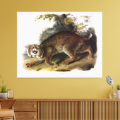 Audubon (Bobcat) Leinwanddruck (Insitu (Wohnzimmer))