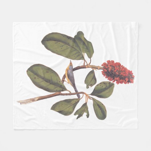 Audubon Bonaparte Flycatcher Bird Fleecedecke (Vorderseite (Horizontal))