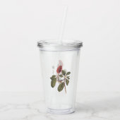 Audubon Bonaparte Flycatcher Songbird und Magnolia Acryltrinkbecher (Rückseite)