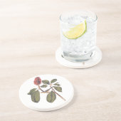 Audubon Bonaparte Flycatcher Songbird und Magnolia Getränkeuntersetzer (Seite)