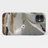Audubon: Bonapartes Möve Case-Mate iPhone Hülle (Rückseite (Horizontal))