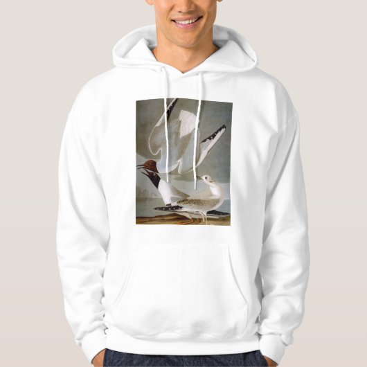 Audubon: Bonapartes Möve Hoodie (Vorderseite)