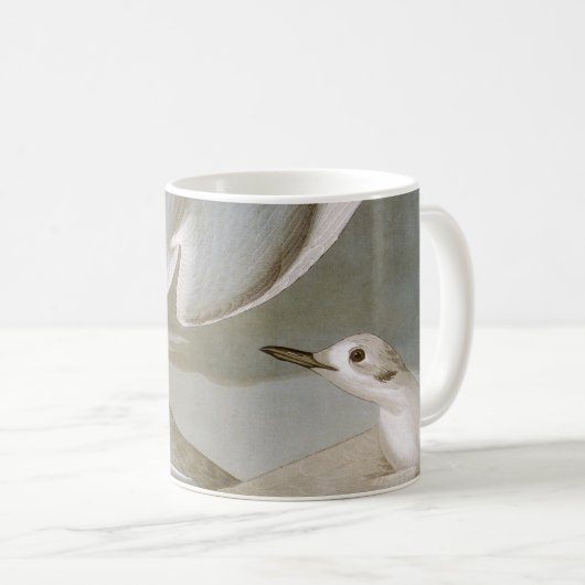 Audubon: Bonapartes Möve Kaffeetasse (VorderseiteRechts)
