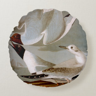 Audubon: Bonapartes Möve Rundes Kissen