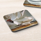 Audubon: Bonapartes Möve Untersetzer (Linke Seite)