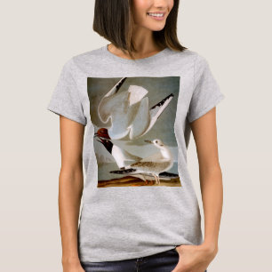 Audubon: Bonapartes Möwe T-Shirt