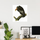 Audubon California Condor Poster (Heimbüro)
