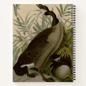 Audubon Canada Goose Wildlife Bird Notizblock (Rückseite)