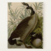 Audubon Canada Goose Wildlife Bird Planer (Rückseite)