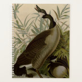 Audubon Canada Goose Wildlife Bird Planer (Vorderseite)