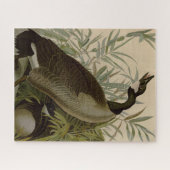 Audubon Canada Goose Wildlife Bird Puzzle (Horizontal)