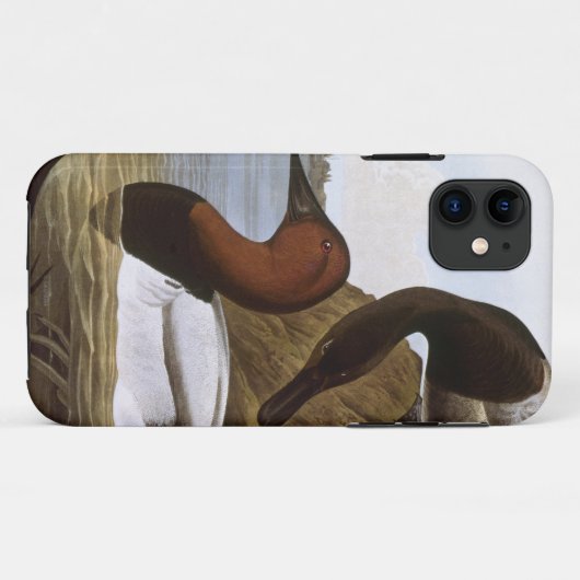 Audubon: Canvasback Case-Mate iPhone Hülle (Rückseite (Horizontal))