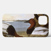 Audubon: Canvasback Case-Mate iPhone Hülle (Rückseite (Horizontal))