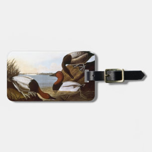 Audubon: Canvasback Gepäckanhänger