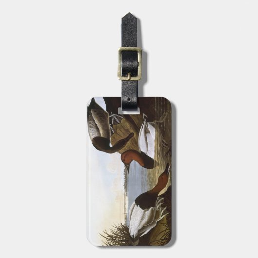 Audubon: Canvasback Gepäckanhänger (Vorderseite vertikal)