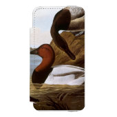 Audubon: Canvasback Incipio iPhone Geldbeutel-Hülle (Folio Vorderseite)