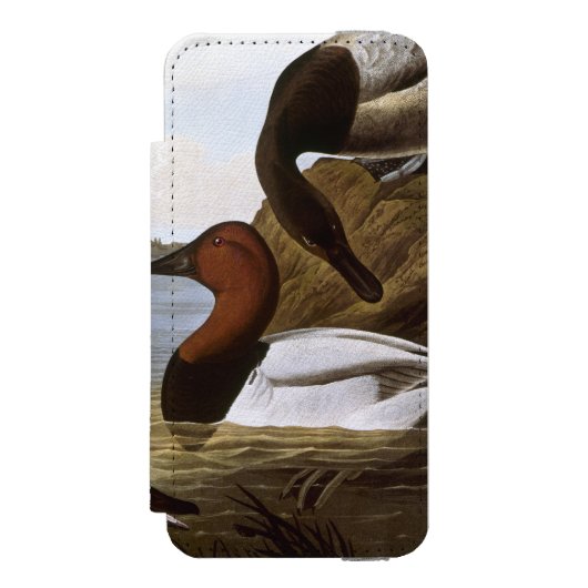 Audubon: Canvasback Incipio iPhone Geldbeutel-Hülle (Folio Vorderseite)