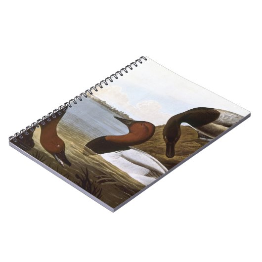 Audubon: Canvasback Notizblock (Linke Seite)