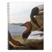 Audubon: Canvasback Notizblock (Vorderseite)