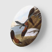 Audubon: Canvasback Runde Wanduhr (Winkel)