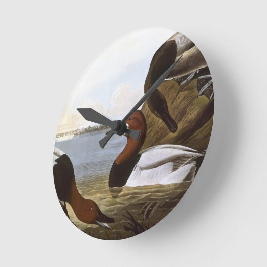 Audubon: Canvasback Runde Wanduhr (Winkel)