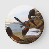 Audubon: Canvasback Runde Wanduhr (Vorderseite)