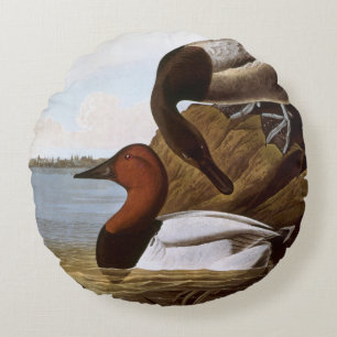 Audubon: Canvasback Rundes Kissen