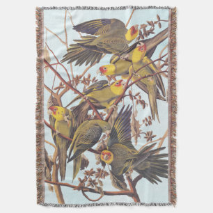 Audubon Carolina Parakeet Flock Decke