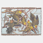 Audubon Carolina Parakeet Flock Decke (Vorderseite)