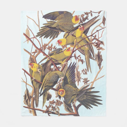 Audubon Carolina Parakeet Flock Fleecedecke (Vorderseite)