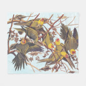 Audubon Carolina Parakeet Flock Fleecedecke (Vorderseite (Horizontal))
