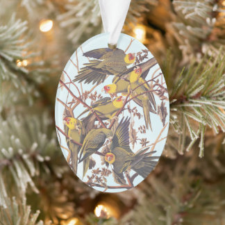 Audubon Carolina Parakeet Flock Ornament