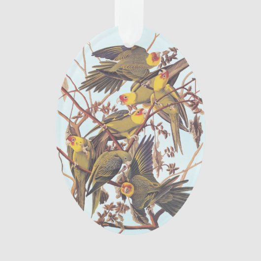 Audubon Carolina Parakeet Flock Ornament (Vorderseite)
