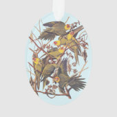 Audubon Carolina Parakeet Flock Ornament (Rückseite)