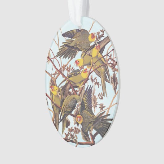 Audubon Carolina Parakeet Flock Ornament (Vorderseite)