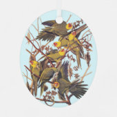 Audubon Carolina Parakeet Flock Ornament Aus Metall (Rückseite)