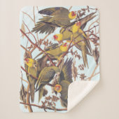 Audubon Carolina Parakeet Flock Sherpadecke (Vorderseite)
