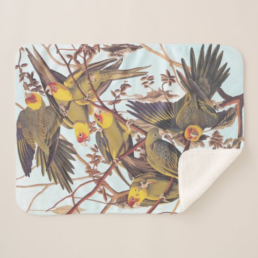 Audubon Carolina Parakeet Flock Sherpadecke (Vorderseite (Horizontal))