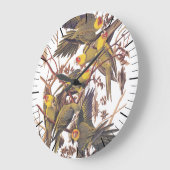 Audubon Carolina Parakeet Große Wanduhr (Winkel)