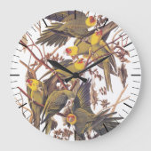Audubon Carolina Parakeet Große Wanduhr (Vorderseite)