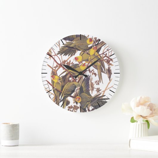 Audubon Carolina Parakeet Große Wanduhr (Zuhause)